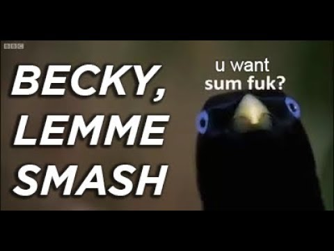 Becky, Please Lemme Smash | Parts 1-4