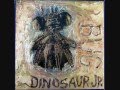 Dinosaur Jr - Budge