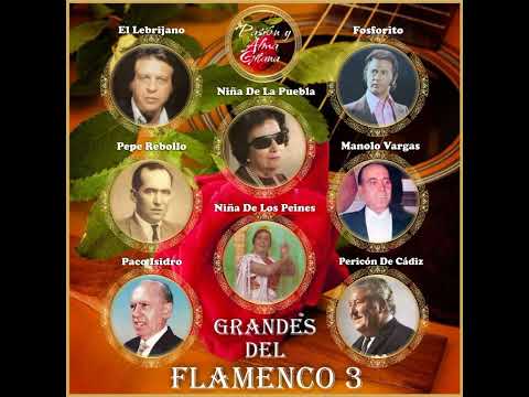 Pasión y Alma Gitana - Grandes Del Flamenco, Vol. 3