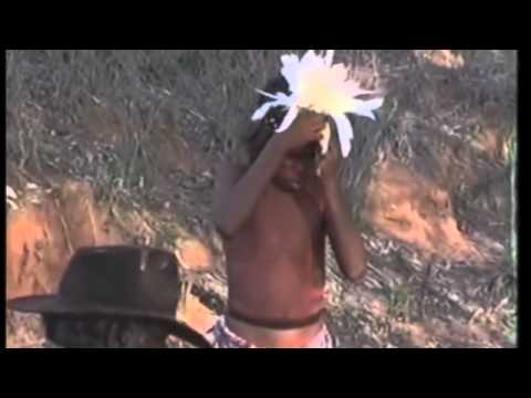 Aboriginal Initiation Ceremony