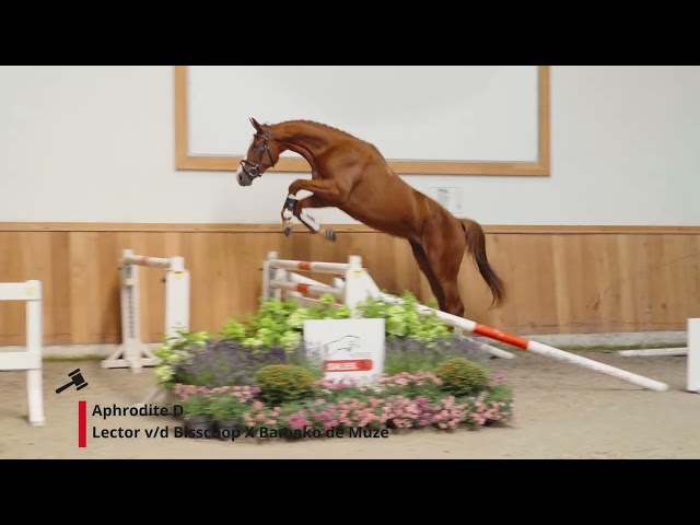 Aphrodite D