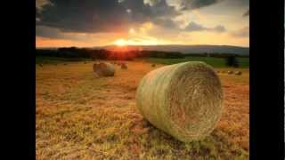 Fields of Gold  -  Eva Cassidy