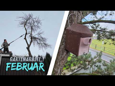 Der Baum muss weg | Gartenarbeit im Februar