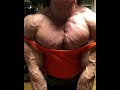 Jojo Flex Pec FBB