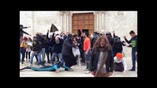 preview picture of video 'Harlem Shake Terroristi di Conversano (Cattedrale)'