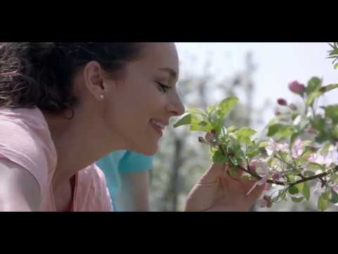 Frühlingserwachen in Schenna / Il risveglio della primavera a Scena