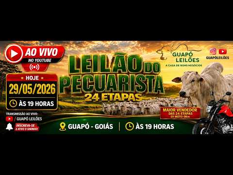 LEILÃO DE GADO EM GUAPÓ - GOIÁ0 29/05/2026