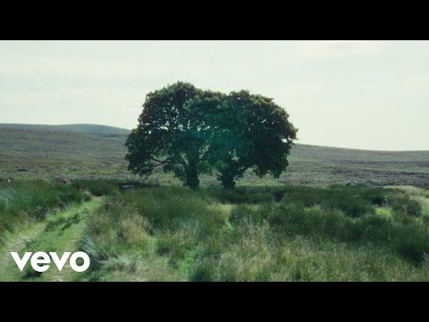 Sycamore - Dermot Kennedy