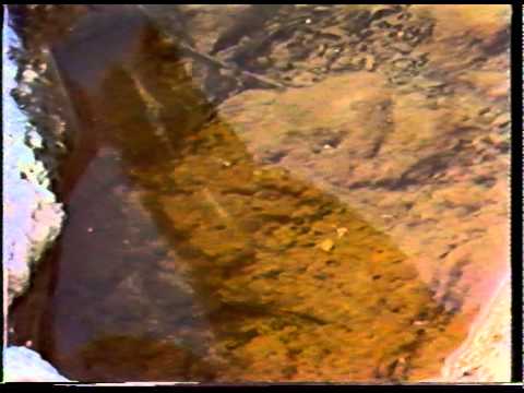 Fi Hdanek - words and music David Azopardi