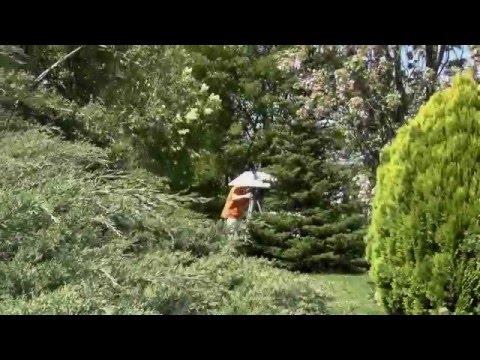 Der Merkurtransit am 09.05.2016