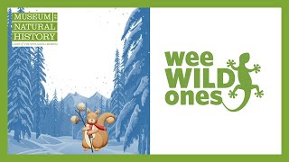 Download Lagu Animals in Winter - Wee Wild Ones on the Web (Season 1, Episode 7) Thumbnail