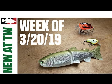 What's New at Tackle Warehouse w. Jake Cotta - 3/20/19