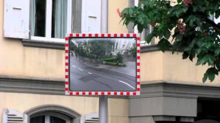 My Plants Are Dead--Blonde Redhead