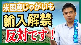 米国産じゃがいも輸入解禁反対です それには理由があります 【国民民主党】かごしま彰宏