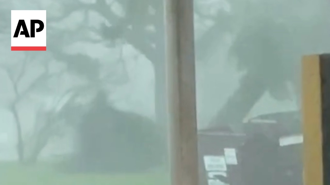 Video shows a tornado uprooting trees in Illinois