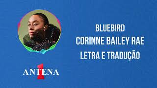 Antena 1 - Corinne Bailey Rae - Bluebird - Letra e Tradução