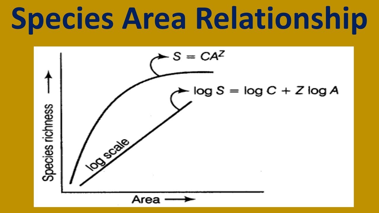 Species Area Relationship
