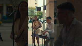 Procura - Cenit Duo, Coral Gables.