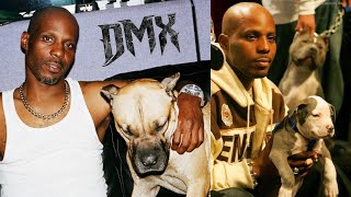 DMX ‘The Loyalty Of Dogs’ | Interviews, Music Videos &amp; Why He Loved Dogs So Much