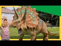Baby Triceratops Saves Mom From The Sharp Toothed Megaraptor More Dinosaurs For Kids DinoKids