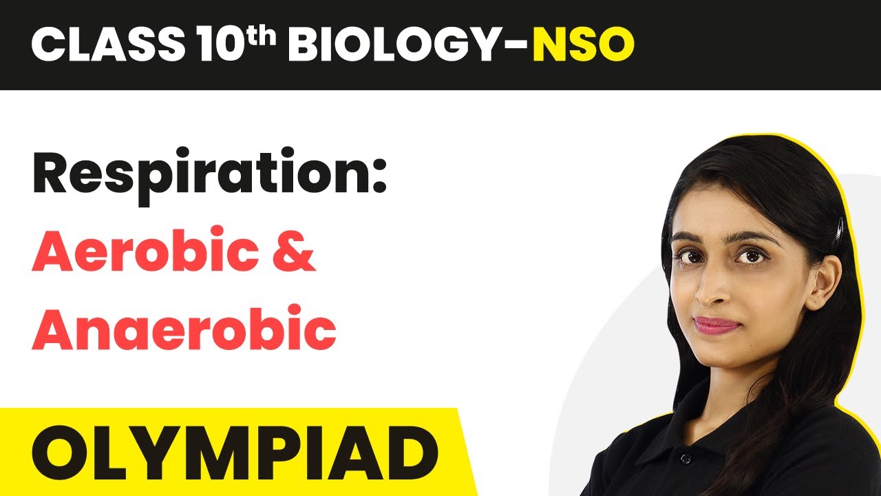 Respiration: Aerobic and Anaerobic - Life Processes | Class 10 NSO (Biology) 2022-23