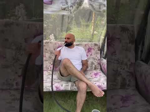 Bora Bora Vardan Boroda & Jazvo