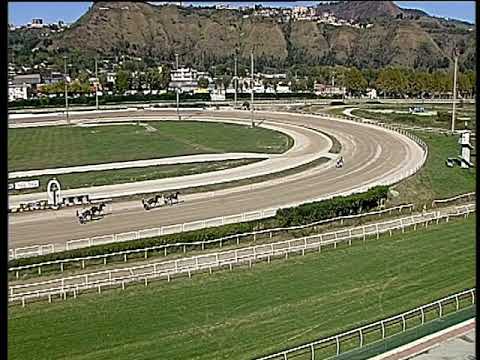 Trotto 04/10/2019 - 2ª prova di qualifica