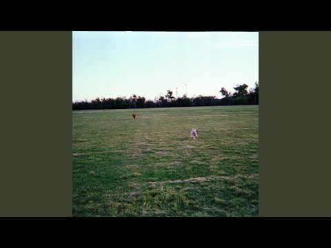 Outside, Alone, and Forgotten, A Story as Old as Time Itself