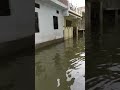 Badh Ke Pani Se Ghar Doob Gaya Viral Shorts Prayagraj