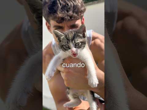 Bañé A Mi Gato!😺