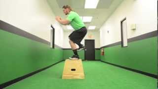 29. Single Leg Box Jump
