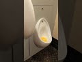 Armitage Shanks Sandringham 21, Men's Toilets, Circle K, Citywest, Dublin