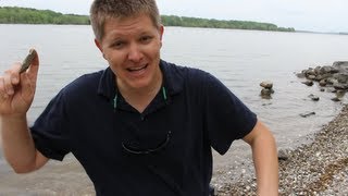 Skipping Stones and Mailing Postcards- Smarter Every Day 88