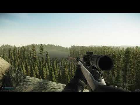 The best shot I ever took