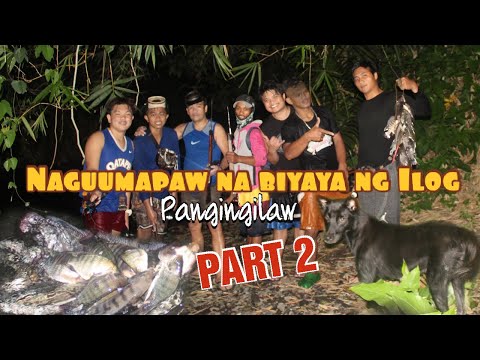 Ep 17 JACKPOT!Part 2 Pangingilaw ng Hito at Tilapya|Napakadaming huli!Tumbok ang Lungga ng tilapya