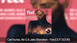 Carl Nunes, Ale Q & Jake Shanahan - Feel [OUT SOON][Teaser]