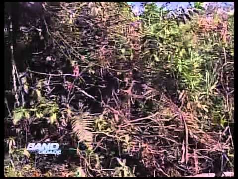 Band Cidade Campinas - descarte ilegal Sta. Genebra - 17 12 2012