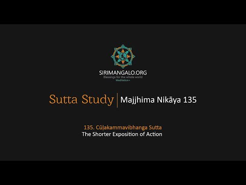 MN 135 (The Shorter Exposition of Action) and Q&A