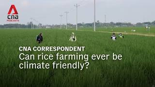 Can rice farming ever be climate friendly? | CNA Correspondent