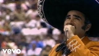 Señora De Tal Lyrics English Translation