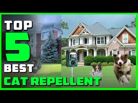 Top 5 Best Cat Repellent on AliExpress