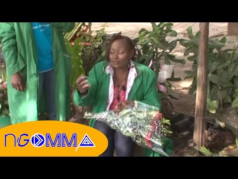 Princess Farida - Reversal of Roles, Working as Flower Vendor Pt2