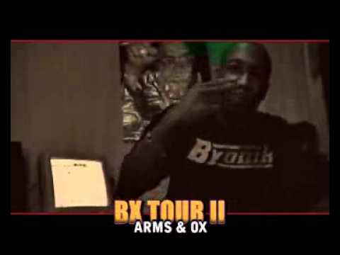 BX TOUR 2 - ARMS et OX