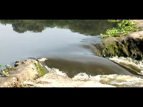 natural beauty Gomti River beach