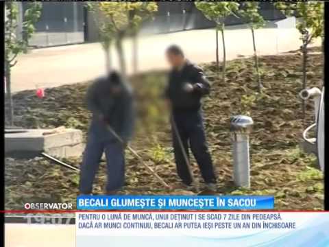 Gigi Becali s-a prezentat în sacou, în cea de a doua zi de muncă la Academia lui Hagi