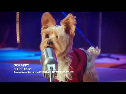 Pup Star rap sang