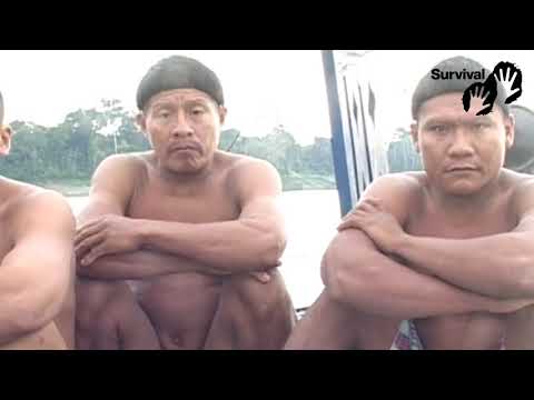 „Die Unkontaktierten im Javari-Tal brauchen Hilfe.“