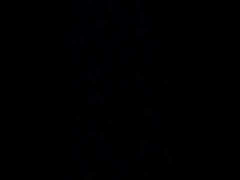 El Comandante y La Coralillo