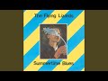 Summertime Blues (12'' Version)