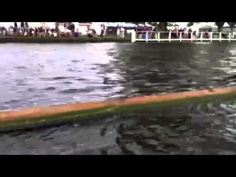 Stream at the progress board, HRR 2012.